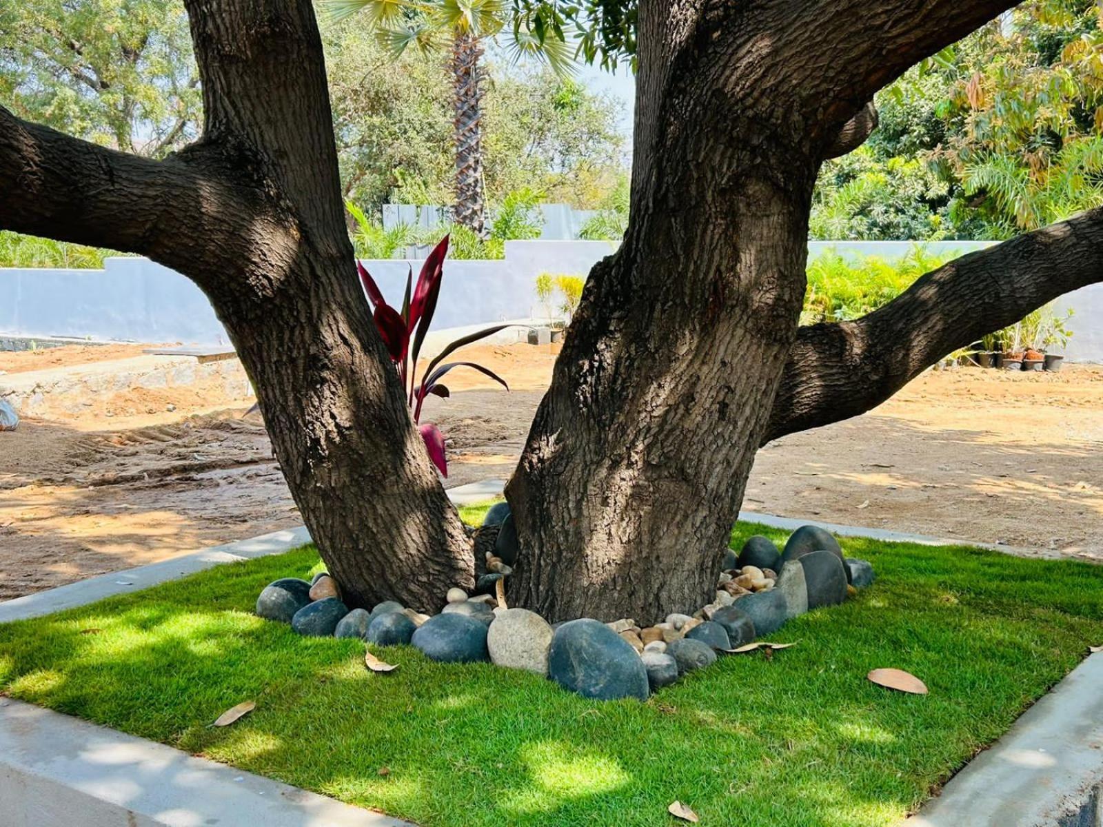 Hampi Village Resort & Tutti Cafe Екстериор снимка