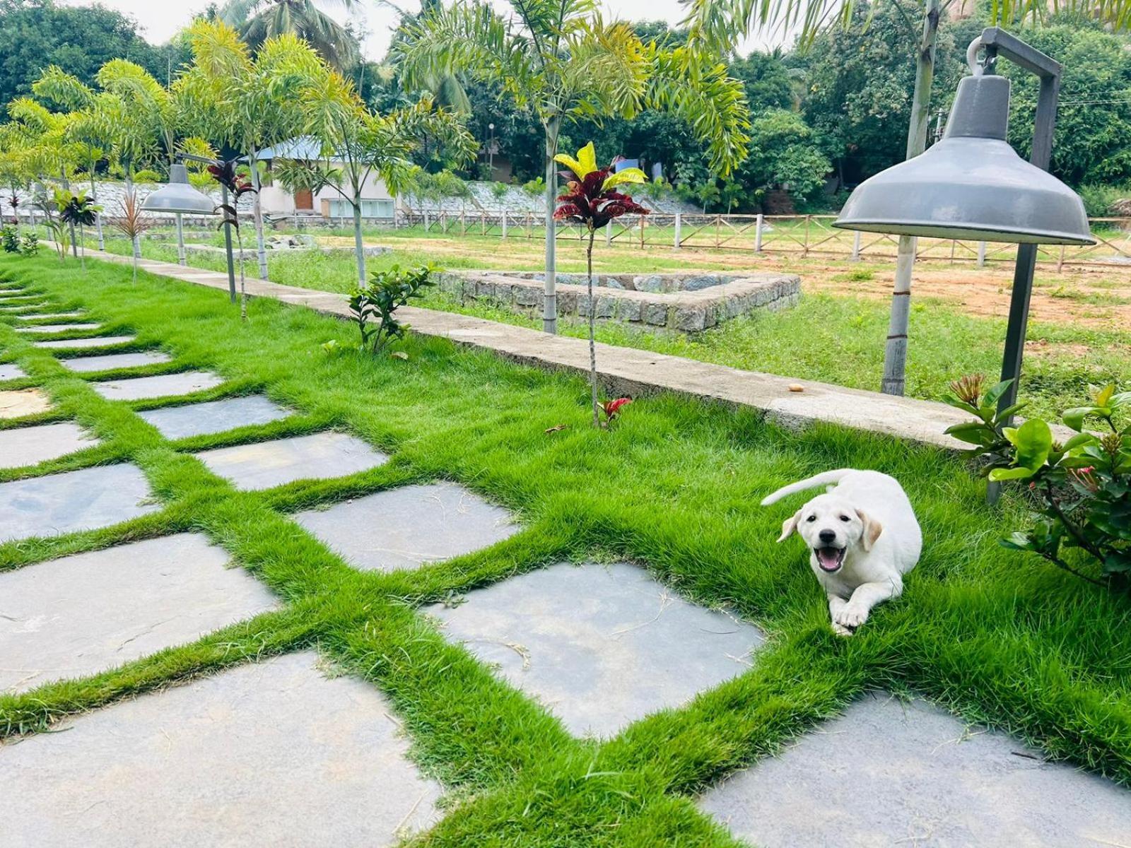 Hampi Village Resort & Tutti Cafe Екстериор снимка